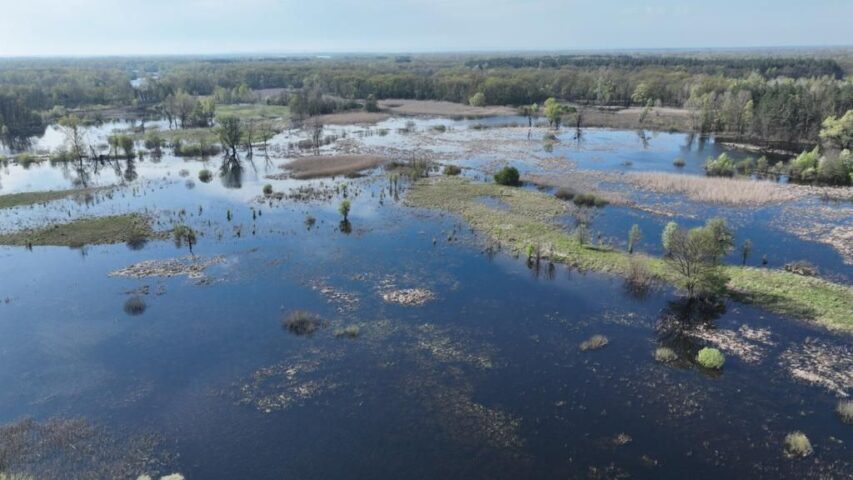 На Чернігівщині можливе підтоплення заплавних територій та понижених ділянок, на річках Карпатського регіону спостерігається розвиток паводка